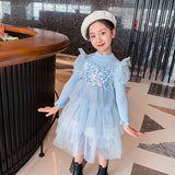 Kid Baby Girl Princess Autumn Knitted Sequins Cake Dress