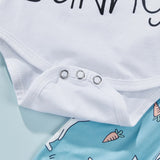 Easter New Baby Girl Rabbit Printed 3 Pcs Set