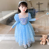 Kid Girl Frozen Aisha Long Sleeve Princess Dress