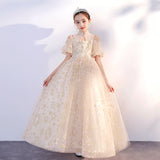 Kid Girls Performance Little Host Flower Wedding Dress