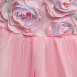 Kid Girl Princess Drag Party Birthday Cake Mesh Dresses