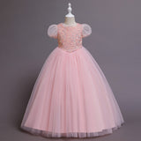 Kid Girl Christmas Princess Dress