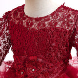 Kid Baby Girl Long Sleeved Sequins Gauze Puffy Princess Dress