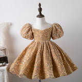 Kid Baby Girl Sequin Bubble Sleeve Princess Performance Dress