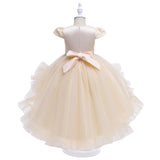 Kid Baby Girl Princess Trailing Wedding Shampong Gauze Host Dresses