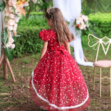 Kid Girl Tuxedo Flower Princess Lace Dress