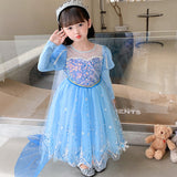 Kid Girl Frozen Aisha Long Sleeve Princess Dress