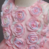 Kid Girl Princess Party Birthday Piano Show Cake Dresses