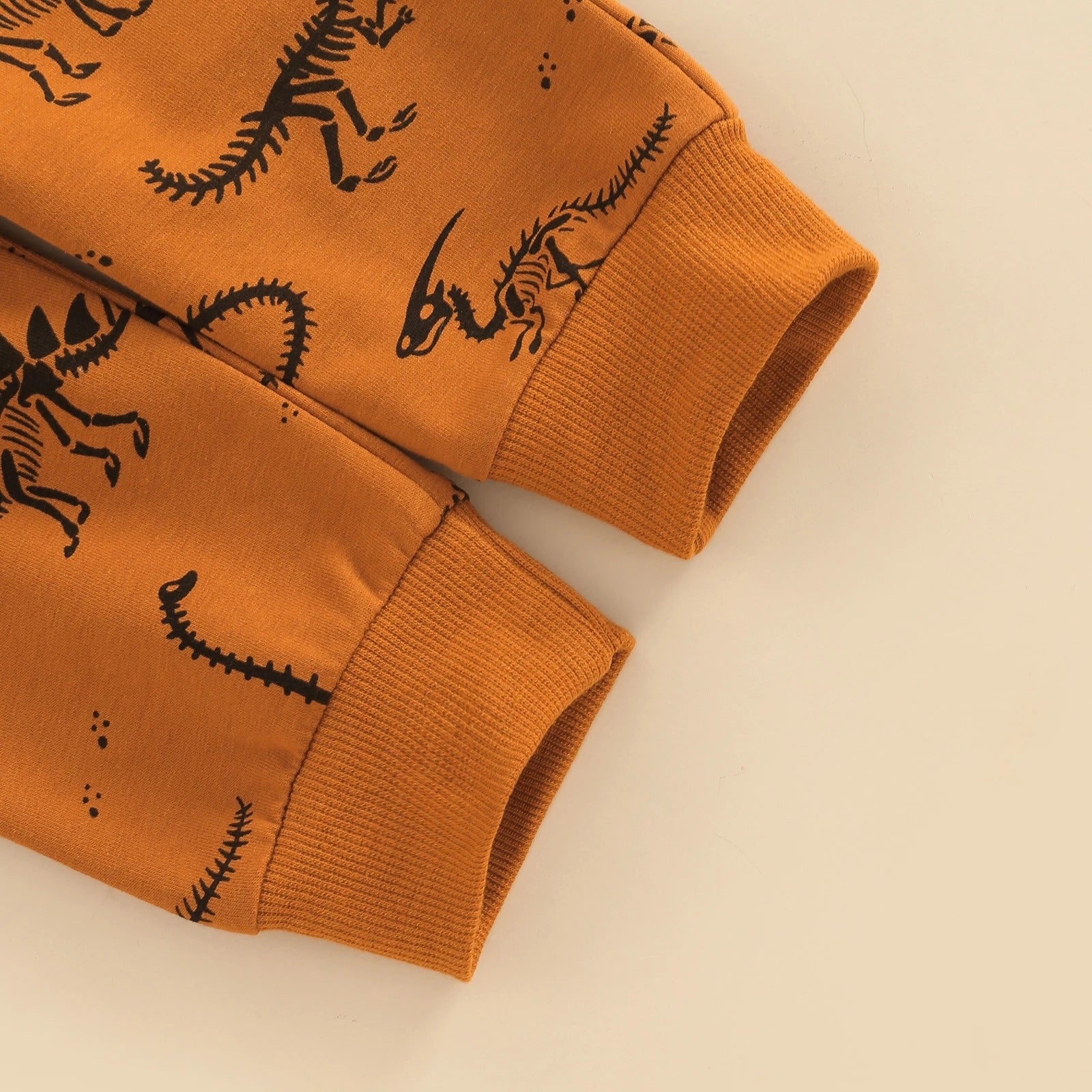 Kid Baby Boy Cute Cartoon Dinosaur Print 2 Pcs Sets