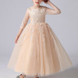 Kid Girl Autumn Spring Princess Formal Dresses