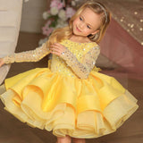 Kid Girl Formal Long Sleeve Lace Sequins Wedding Princess Bridesmaid Dress