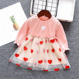 Baby Girl Long Sleeve Cute Heart Patchwork Mesh Flower Dress 0-2 Years