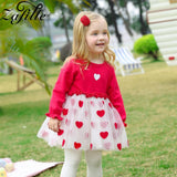 Baby Girl Long Sleeve Cute Heart Patchwork Mesh Flower Dress 0-2 Years