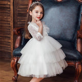 Baby Girl Lace Princess Wedding Party Elegant Dresses