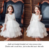 Baby Girl Lace Princess Wedding Party Elegant Dresses