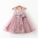 Toddler Bbay Girl Party Tutu Dress