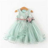 Toddler Bbay Girl Party Tutu Dress