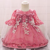 Baby Girl Party Lace Party Flower Baptism Dresses