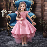 Kid Girl Swallow Tail Mesh Princess Dress