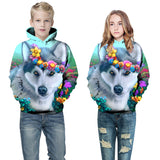 Hooded Sweater, Children's Sweater, Bottoming Shirt, Baseball