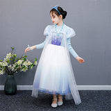 Kid Baby Girl Princess Spring Autumn Long-sleeved Bubble Sleeves Dresses