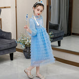 Kid Girl Snow Print Mesh Long Sleeve Tiered Princess Long Dress