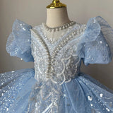 Kid Girl Princess Flower Wedding Birthday Host Dress