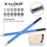 60Pcs/Set Professional Sketch Pencil With Charcoal Brush With Wooden Box