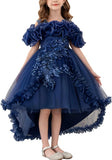 Girl's Princess Dress, Birthday Party, Pageant Gown - Ruffle Tulle Satin Princess Dresses with Kids Train
