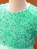 Kid Girl Sparkly Crew Neck Party Spring Summer Dresses