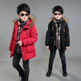 2-12T Kid Boy Winter Cotton-padded Korean Down Jacket Coats