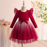 Kid Girls Long-sleeve Gradient Multicolor Tulle Dress