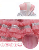 Kid Girl Princess Piano Performance Dresses