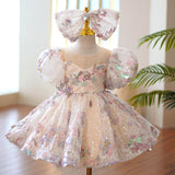 Kid Baby Girl Evening  Fluffy Lace Birthday Party Luxury Dress