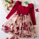 Kid Girl Korean Version Butterfly Embroidered Mesh Princess Dresses