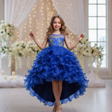 Kid Girls Bronzing Embroidery Trailing Performance Dress