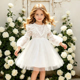 1-6T Kid Baby Girls Lace Princess Performance Flower Dresses