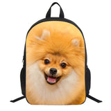 Kid Student  Schoolbag Cute Parrot Print Animal  Backpack 16 Inch