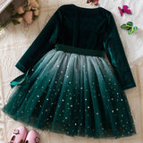 Kid Girls Long-sleeved Korean Stars Gradually Mesh Princess Dresses