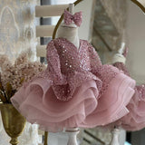 Kid Baby Girls Princess Pink Sequin Fluffy Dresses