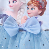 Kid Baby Girl Snow Ice Princess Aisha Long Sleeve Dresses