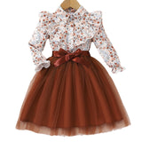 Kid Girls Long Sleeve Lapel Floral Mesh Dress