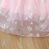 Kid Girl Spring  Autumn Ice and Snow Fantasy Sequin Mesh Dress