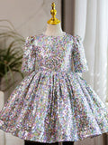 Kid Baby Girl Silver Tutu European American Princess Dresses