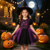 Girls' Halloween New Short-sleeved Spider Web Dress Black Purple Party Dress