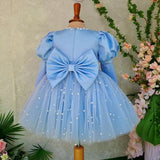 Kid Baby Girls Blue Fluffy Yarn Long Sleeve Princess Dress