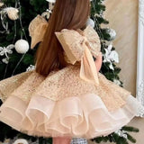 Kid Baby Girl Party Birthday Party Bow Dresses