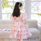 Kid Baby Girl Princess Pink Pooper Gauze Evening  Performance Cake Dresses