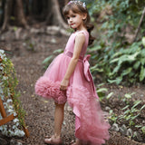 Kid Girl Princess Flowers Trailing Dresses