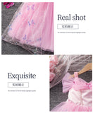 Girls Pink Butterfly Princess Dress Children's Summer Foreign Mesh Fluffy Party Birthday Dress